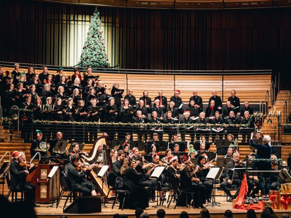 A live concert orchestra dressed in black are playing in a large performance space with a Christmas tree in the background.