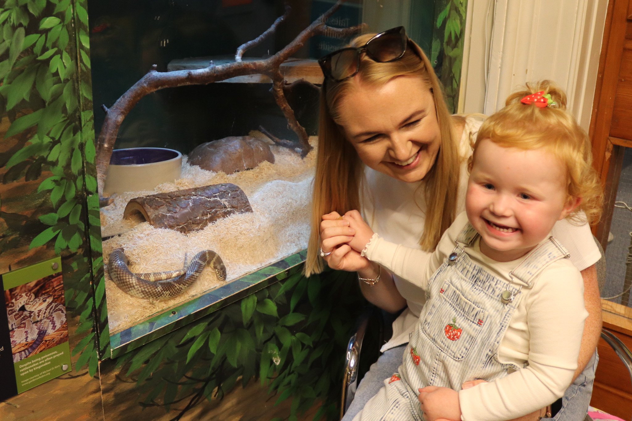 A woman sits with a young girl on her knee. Beside them a snake is in a glass tank.