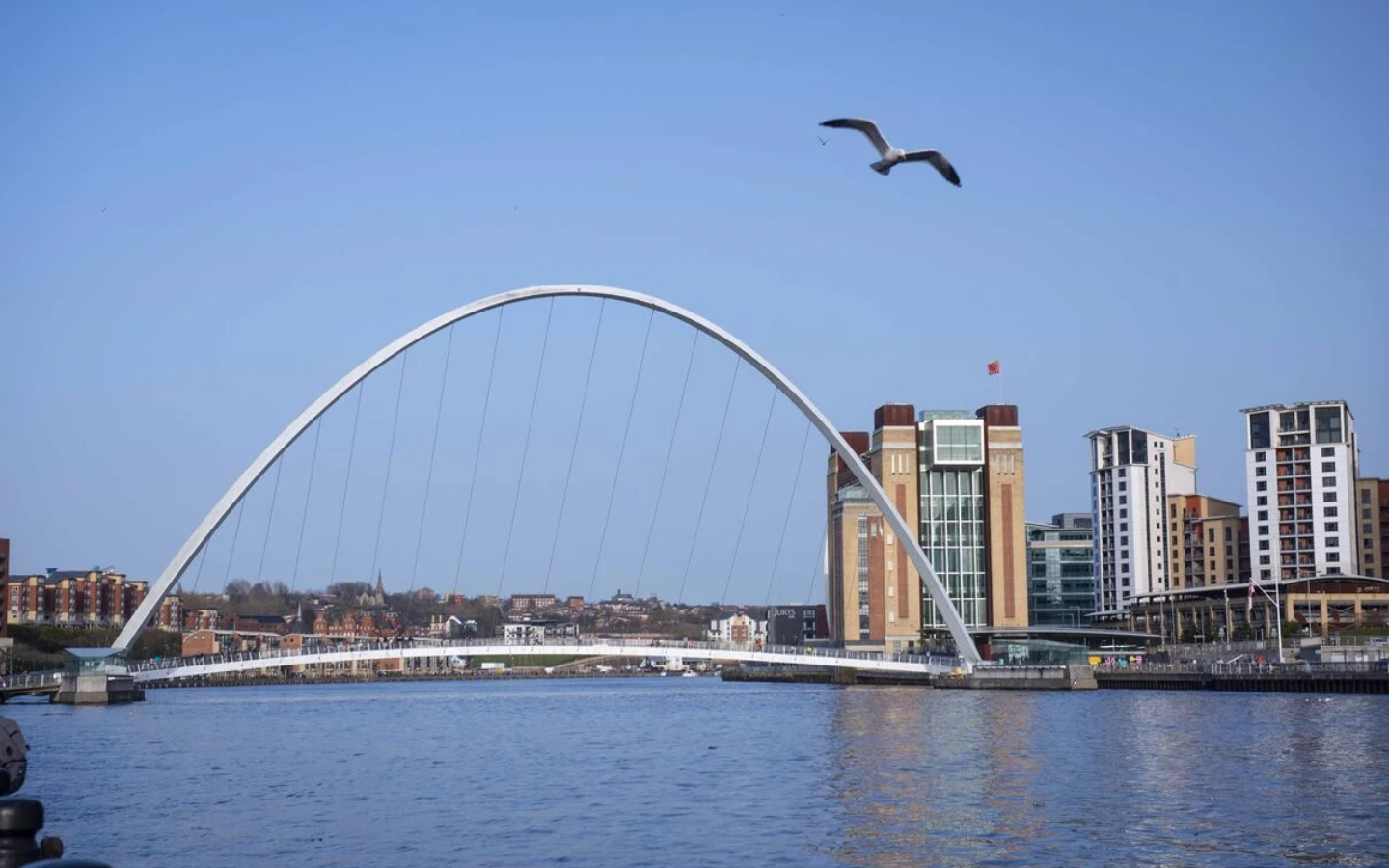 An image of the millennium bridge crossing over the river Tyne between Newcastle quayside and Gateshead. A seagull is flying over head and tall buildings line the water front.