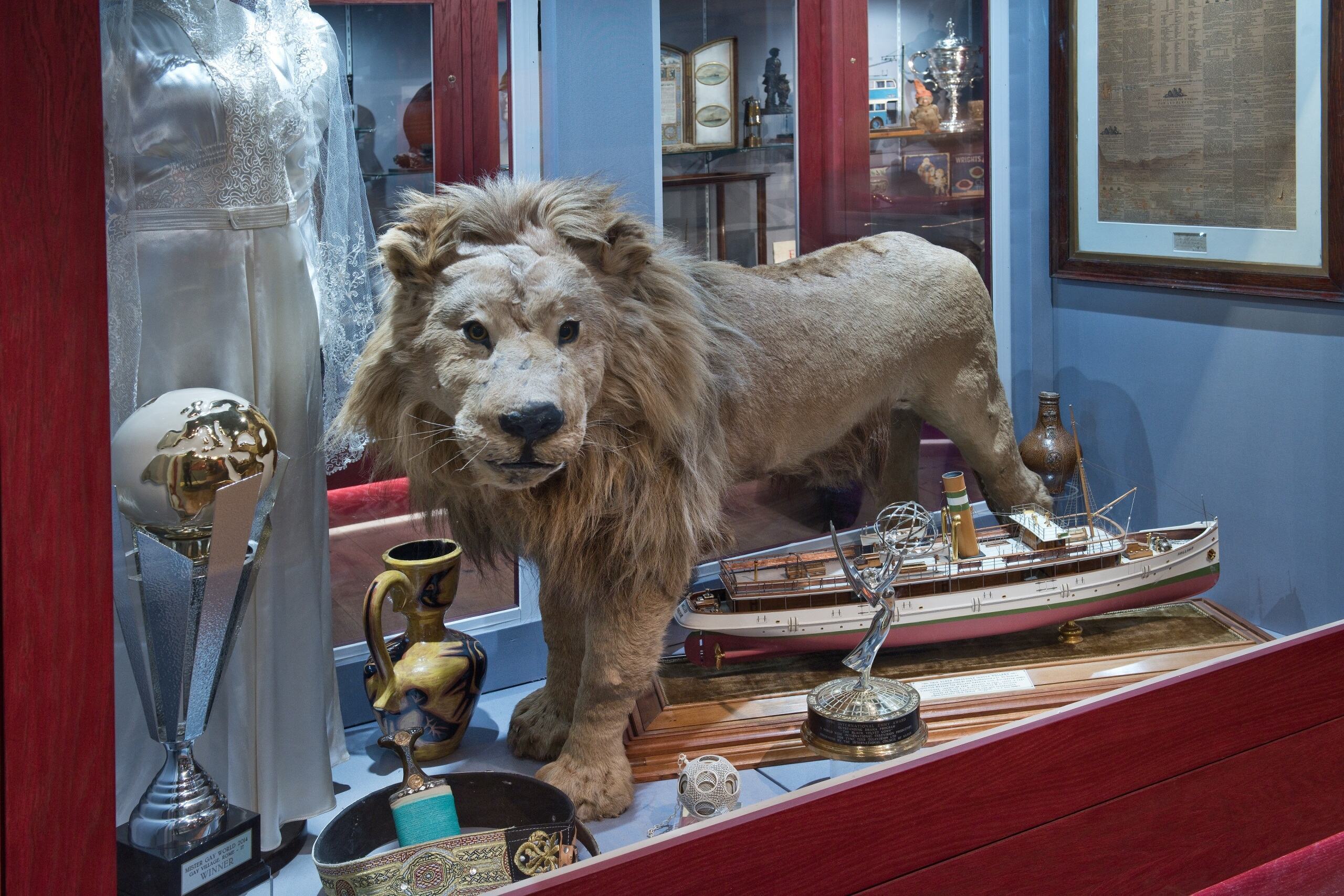 A stuffed lion stands in a museum cabinet along with a model ship and World Cup trophy.