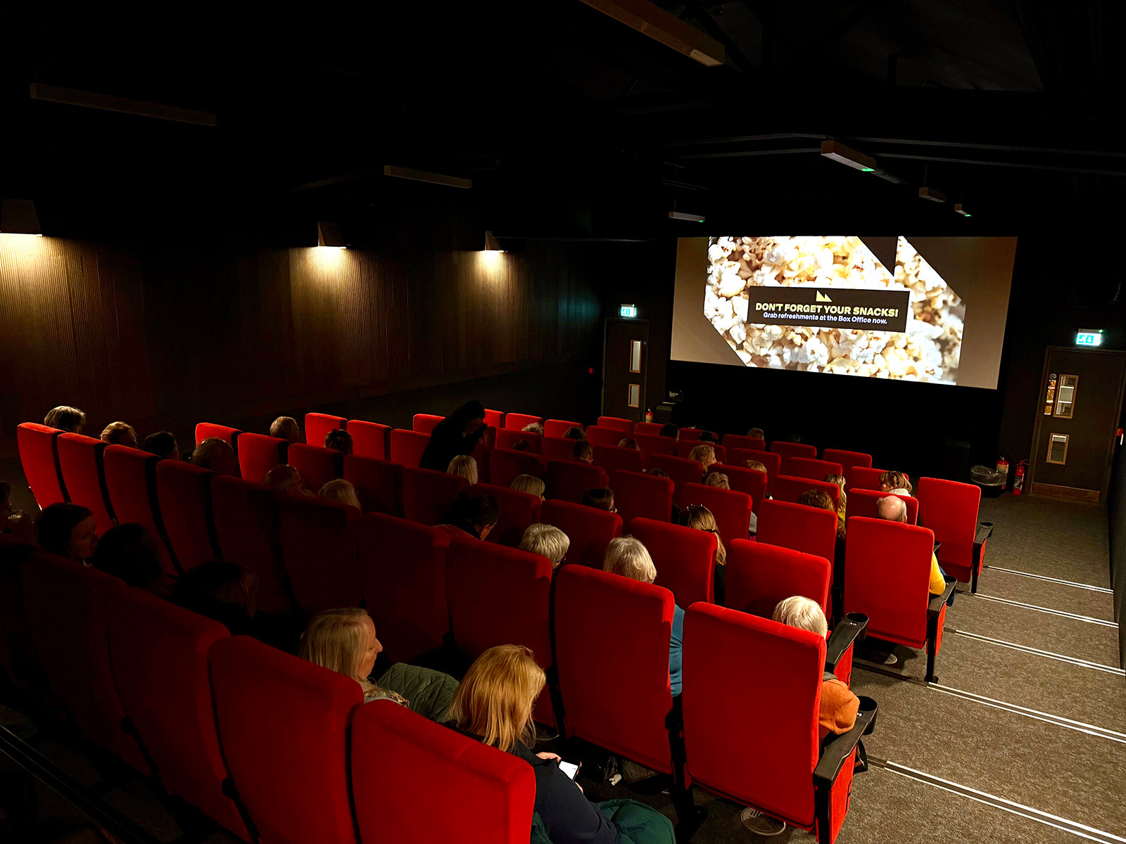 An image of a cinema screen with red, high backed chairs lined up in front of it. A handful of people sit in the chairs looking at the screen.