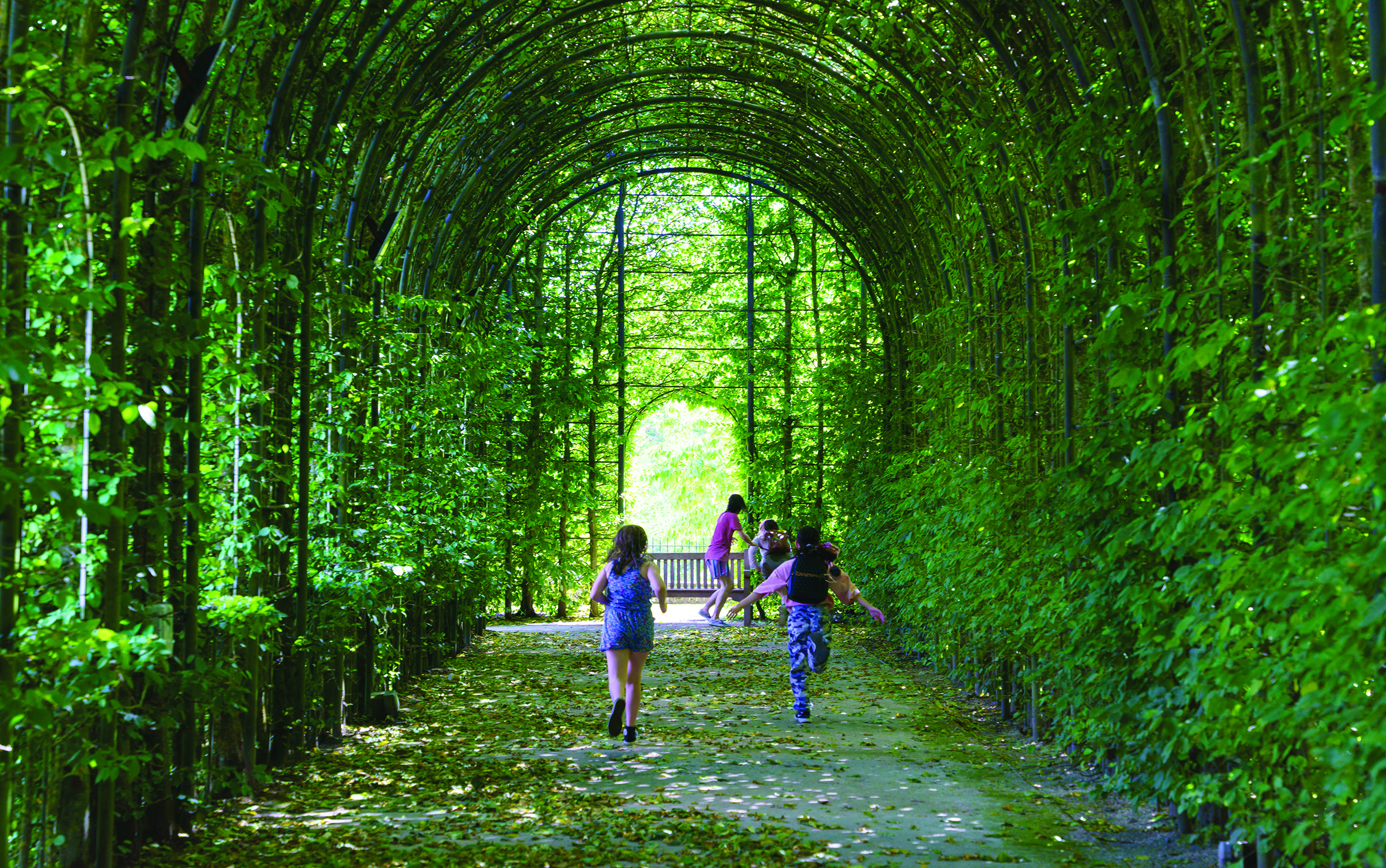 A family runs through a large archway with greenery growing all around it.