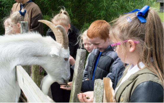 A group of children feed a goat.