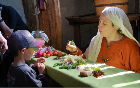 a person dressed in Anglo Saxon clothing shows a child some herbs on a table.